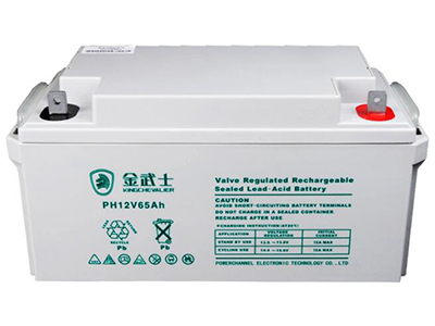金武士蓄电池UPS PH-65AH 12V免维护铅酸蓄电池门禁安防