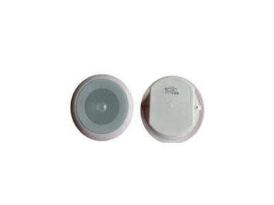 吸顶喇叭5W/10W 5寸喇叭，开孔160mm，外直径200mm，大后罩。厚度100mm.不带独立包装