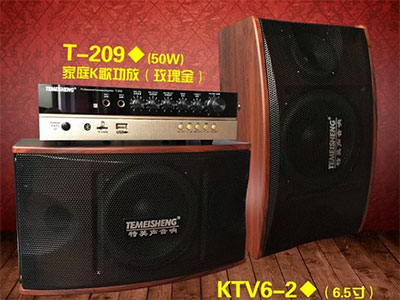 特美声 KTV6-2+ 209功放  