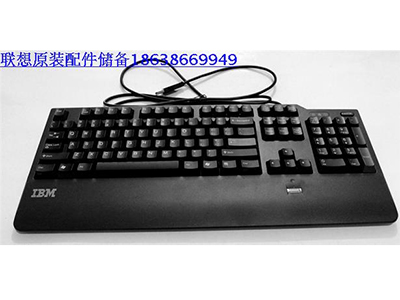 指纹键盘 IBM键盘 IBM原装指纹键盘 专用键盘 KUF0452 群光键盘
