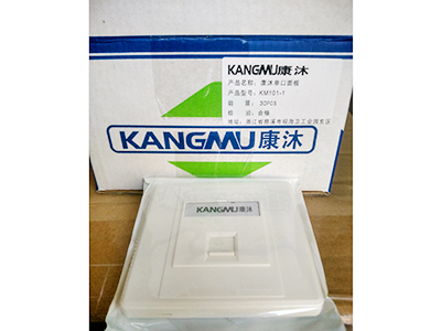 康沐单口面板KM101-1