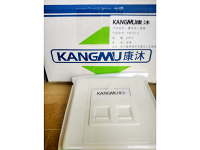 康沐双口面板KM101-2