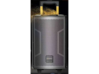 山水  SA5-08  电瓶箱 ”单8寸喇叭
功能：带单手咪，蓝牙、语音、录音,消原音”
