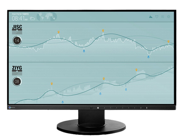 艺卓 (EIZO) EV2450 23.8英寸IPS面板16:9宽屏窄边框液晶显示器 黑色