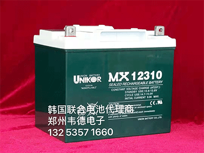 韩国联合 MX 12310 蓄电池