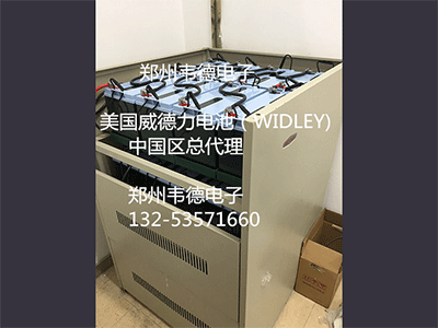 美国威德力电池/威德力电池/WIDLEY电池/ 12V200AH电池