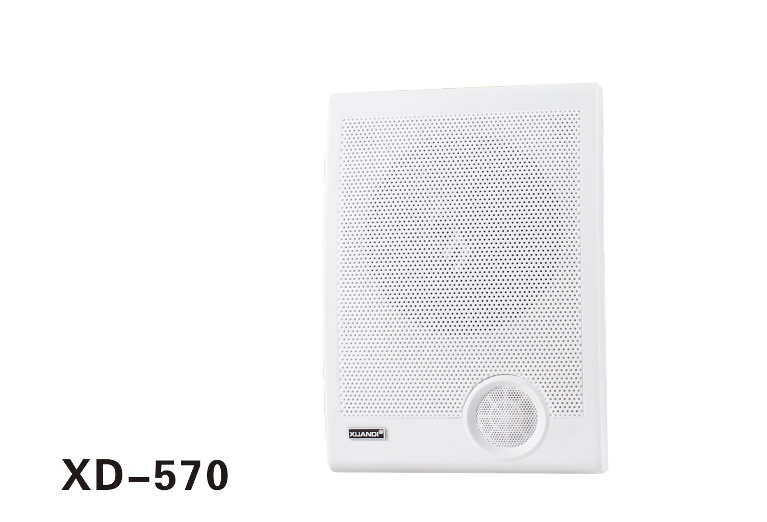 XUANDI炫笛570壁挂喇叭额定功率：10W；灵敏度：98dB；额定电压：110V；频率响应：110-12Hz；尺寸：185*120*260mm；
