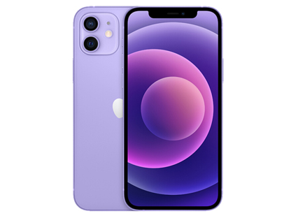 Apple 蘋果 iPhone 12 全網通5G手機紫色 全網通 64GB【官方標配】