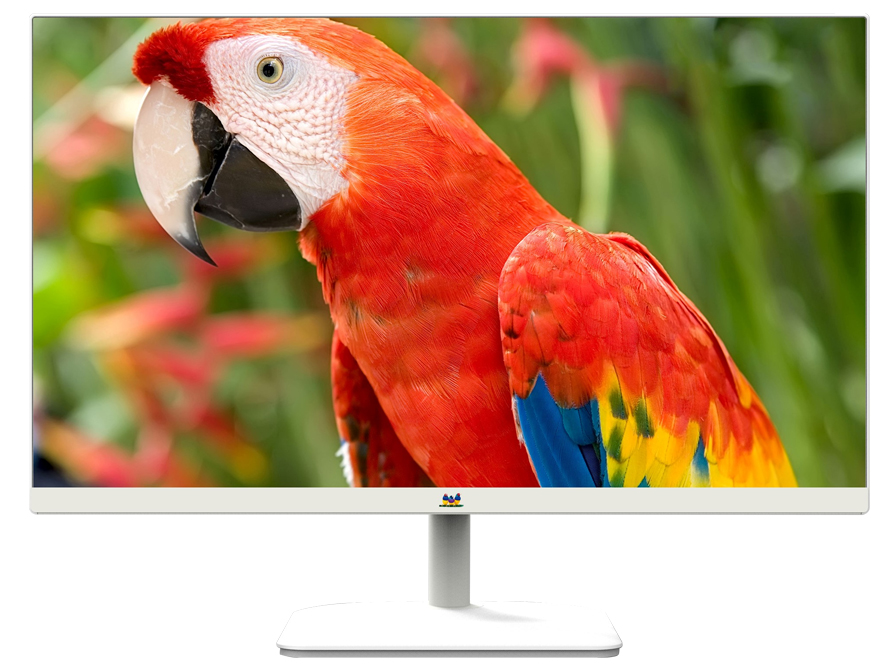 優派/ViewSonic 顯示器 VA2430-H-W 23.8寸IPS面板、IPS面板、250流明、1080P、VGA+HDMI、可壁掛、白色