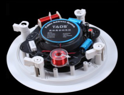 奥迪声 DS916 （定阻）   功率：10W/30W；灵敏度：98dB；额定电压：220V；频率响应：80-16KHz；尺寸：215mm；开孔尺寸：175mm；