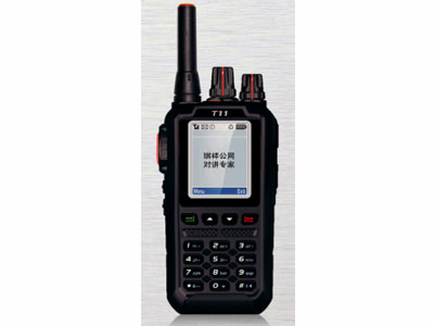 公网 T11 双模  公网系统	CDMA2000 1X
频	率	400-480MHz（调频）
		824~894MHz（公网）
规	格	122x60x37mm
重	量	约200g(含电池)
电池容量	2800mAh(标配)
		3600mAh(选配)
工作电压	4.2V DC