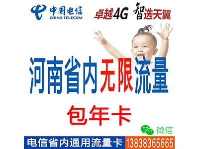 电信4G河南省内套餐：包年无限时间无限流量-平板电脑-ipad-手机上网流量卡