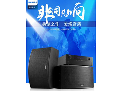飞利浦 CSS1308B 家庭影院 KTV舞台婚庆会议电视家庭卡拉ok专业卡包音箱