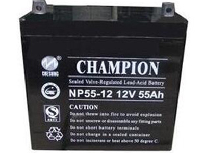 冠军NP55-12 蓄电池
