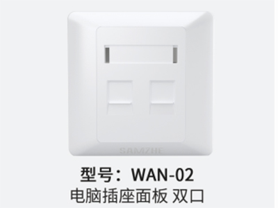 山泽 WAN-02电脑插座面板双口