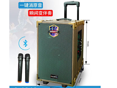 香港山水  S-1212  12寸大功率双推低音，3寸线圈高音喇叭