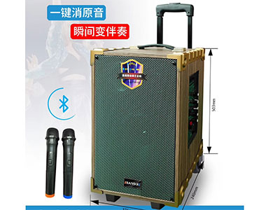 香港山水  S-1210  10寸大功率双推低音，3寸线圈高音喇叭