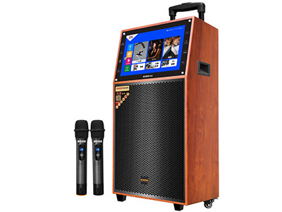 科达 10寸低音 （带DSP）	14.1寸 *输出功率：30W-120W                               *1+8G 正版雷石系统                         *显示屏：14.1寸高清显示屏                     *话筒语音点歌/手写点歌/二维码扫码点歌              *内置金属全铝管U段双咪无线话筒           *10寸低音喇叭/5寸中音/80磁子弹头高音       *真DSP功能，7种音效均衡器                  *电瓶锂电池7.4V4.5
