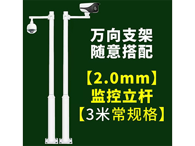 3米一体立杆