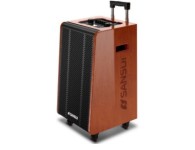 山水G12音箱电子三分频声学结构、12寸低音音圈：65.5mm 磁钢156mm频宽：50-3KHZ 进口鼓纸、6.5寸中音单元 、音圈：25.5mm 磁钢：航天Y30 100mm 频宽： 100-10KHZ进口鼓纸、80磁高音单元、25芯Y30航天磁大号角高音、频宽：800-18khz、高分子膜 电池：20Ah天能电池、60%音量可连续播放约5-11小时 功能：光纤、同轴、蓝牙、双USB、录音、话筒优先、带遥控、多种音效、室内外音乐、K歌等模拟声场调节 全铝合金U段可调频无线咪：带吉他乐器接口、功放IC  TAS5342、Yamaha 卡拉OK专业级DSP处理芯片、5度梯形实木烤漆生产工艺、防水控制板 功率：300W 专利：外观专利/1.1声道软件专利适应环境：-30°低温 ,60°高温