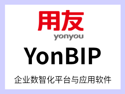 为满足数智时代商业创新的需求，企业需要一个社会级的商业创新平台。用友BIP就是满足这一需求的使能平台，它是一个以数智平台+十大领域的场景服务+大规模生态为基本产品形态的融合服务群 ，对企业而言具有多方面的意义和价值
