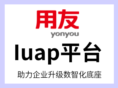 作为用友BIP的Paas平台，汇集了用友三十多年企业服务的深厚经验，基于六大平台及YonGPT企业服务大模型，构建了全面的企业数智化基础设施平台体系，是众多行业领先企业升级数智化底座的首选。