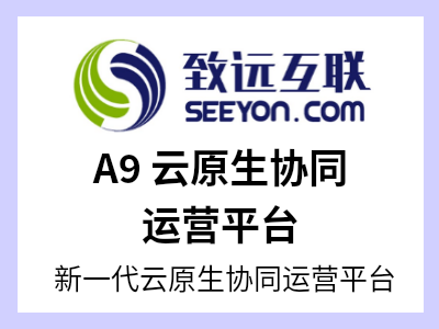 A9 PaaS平台是面向大型、集团型组织，将新型的云原生技术架构与敏捷的运营体系相融合，满足组织对高性能、高并发、高可用、多租户、多云适配等方面的需求，打造一系列场景化、专业化的业务应用，带来更加智能化和数字化的工作体验。