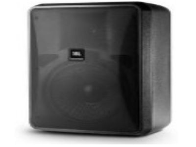 JBL型号：CONTROL28-1L 二分頻，8”低音，240w，100°×100°号筒，全天候，黑白两色，可涂颜色，含”隐形球”安装支架，可选U型架安装，内置60 Watt 70V/100V多抽头变压器，频率范围45 Hz – 20 kHz，SPL：118dB 频率范围（-10dB）：45 Hz – 20 kHz 连续节目功率：240瓦 灵敏度：1米处1瓦的声压级为91dB 覆盖角度：100°×100° 一般阻抗：8欧姆 尺寸：386×282×219mm 重量：6.8kg