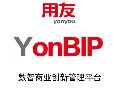 为满足数智时代商业创新的需求，企业需要一个社会级的商业创新平台。用友BIP就是满足这一需求的使能平台，它是一个以数智平台+十大领域的场景服务+大规模生态为基本产品形态的融合服务群 ，对企业而言具有多方面的意义和价值