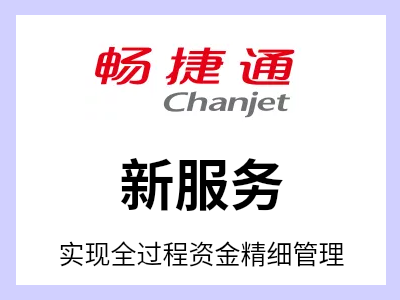 专业服务项目管理