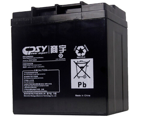 商宇UPS不间断电源GW1224 专用铅酸蓄电池12V24AH耐过充放电优抗腐蚀耐高温