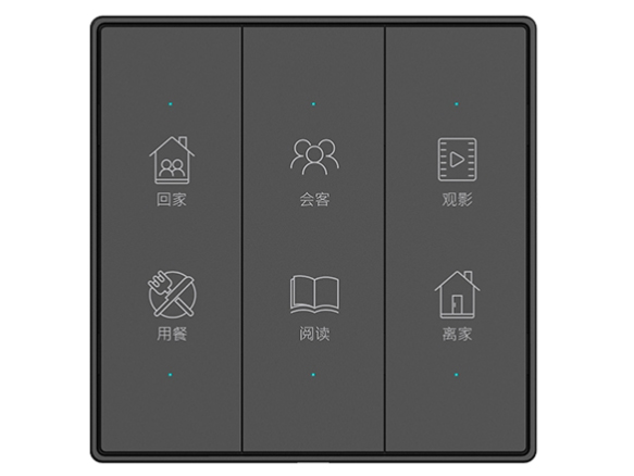 龙侨华 V1-Q6(情景智能开关)