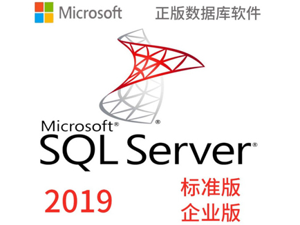 微软win SQL Server数据库软件SQL Server2019标准版/企业版 含专票 2019标准版-5用户