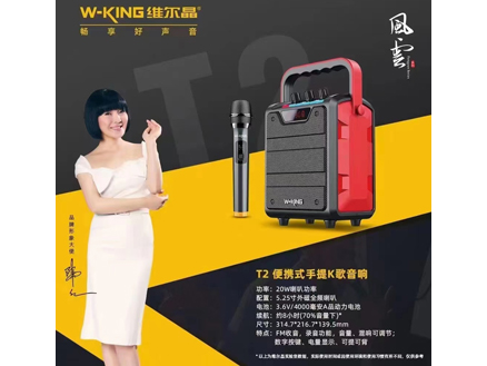 T2便携式手提K歌音响