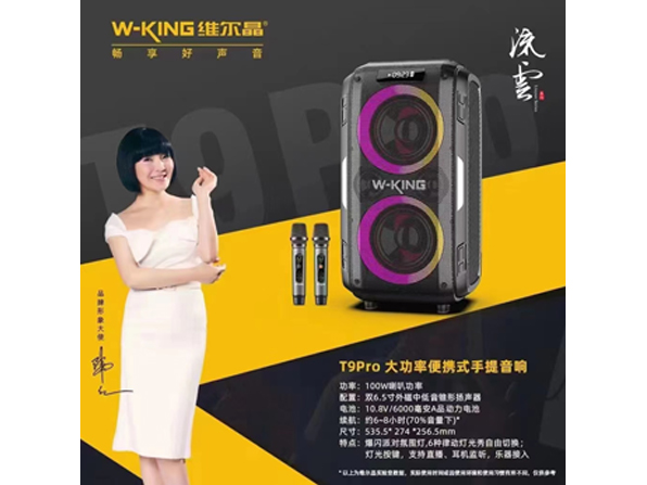 T9Pro大功率便携式手提音响