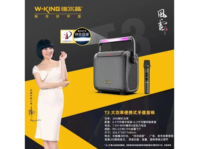 T3大功率便携式手提音响