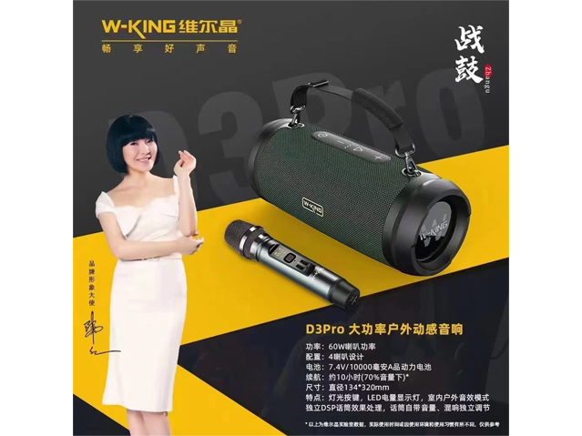 D3Pro大功率户外动感音响
