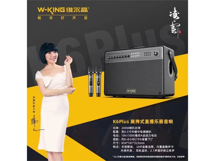 K6Plus肩挎式直播乐器音响