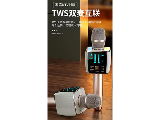 家庭KTV对唱 TWS双麦互联