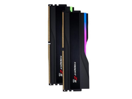 芝奇ddr5 16gDDR5内存条6600幻锋戟RGB灯条台式电脑游戏电竞超频16/32/6 幻锋戟32G(16G*2)套条