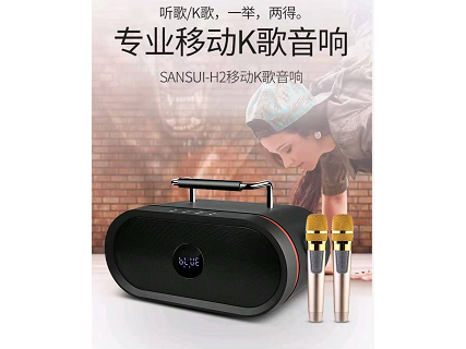 山水H2 山水（SANSUI） 山水（SANSUI） SANSUI 山水 H2广场舞音响迷你便携手提音箱 户外移动音响 旗舰版（黑色）声道