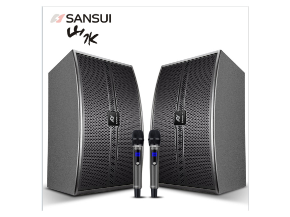 H19 进口PVC，内嵌式私模铁网，外观大气整洁。光纤、同轴、USB、蓝牙及AUX输入，满足各种场所使用