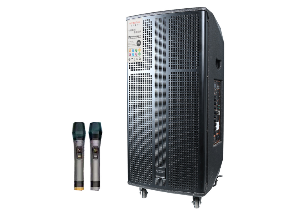 电瓶箱 SG11-15 低音喇叭15寸 双6.5寸中音 双80磁高音。