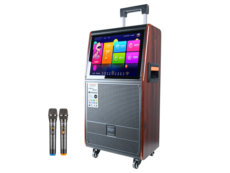 视频电瓶箱 SA8-12 喇    叭：12寸双推低音 6.5寸中音  80磁高音