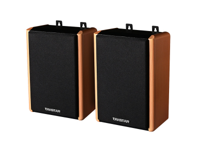 TAKSTAR/得胜 IP网络音箱 ENS-10Y1/Y2