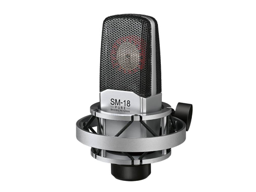 TAKSTAR/得胜 SM-18 PRO 