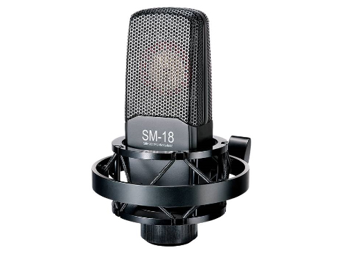 TAKSTAR/得胜 SM18