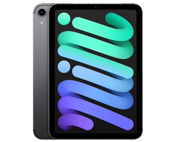 苹果iPad mini 6（64GB/蜂窝网络版）