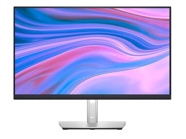 戴尔（DELL） 显示器 P2422H 23.8英寸IPS微边滤蓝光商务办公显示屏P2419H升级款 P2422H旋转升降 HDMI+DP+VGA