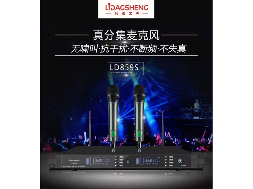 利达之声 LD859S 真分集演出      话筒